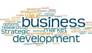 Business Development: The Basic Ingredients